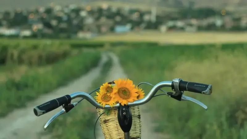 Pedalare in rete ha cambiato le mappe del cicloturismo