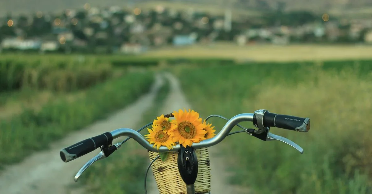 Pedalare in rete ha cambiato le mappe del cicloturismo