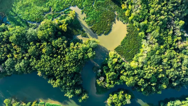 Servono 37 miliardi per salvare la natura