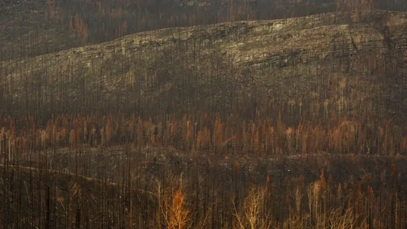 Tre vigili del fuoco sono morti in Colorado