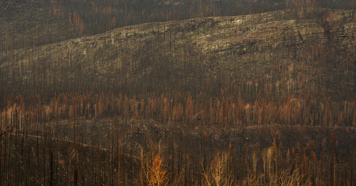 Tre vigili del fuoco sono morti in Colorado