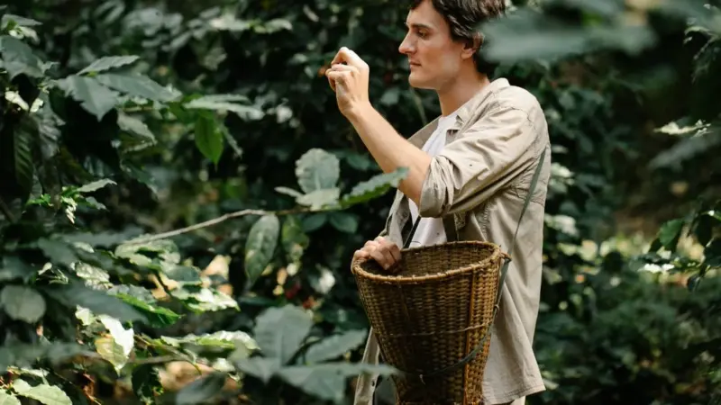 I giovani del cacao colombiano vogliono andarsene