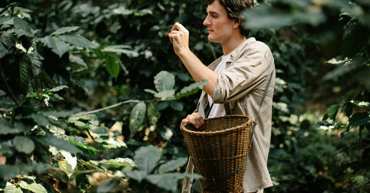 I giovani del cacao colombiano vogliono andarsene