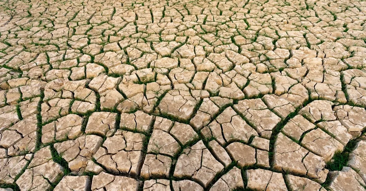 Il clima ha un conto aperto con la salute delle donne