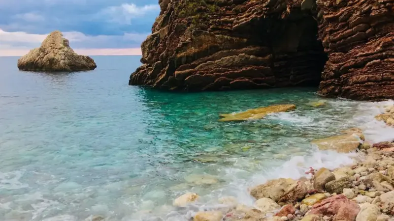 Il colubro ha vinto Ibiza