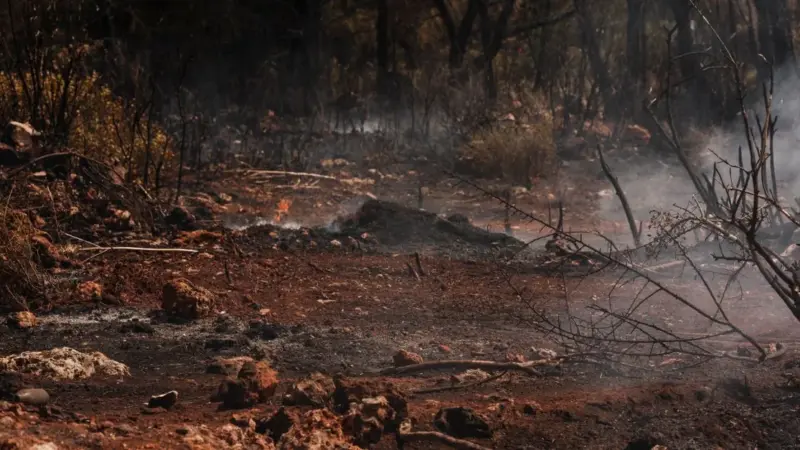Il fumo non si ferma alla dogana