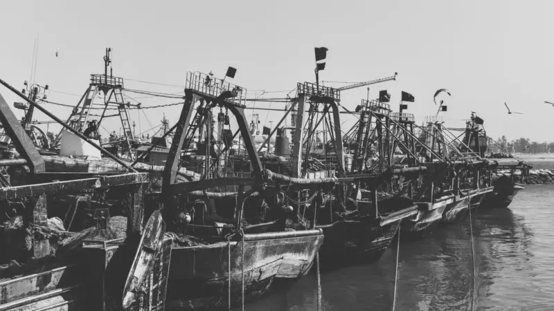 Il governo ha scoperto i parchi di carta