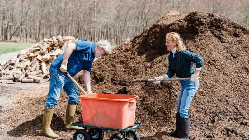 Il letame di coniglio vale più del fertilizzante che compri