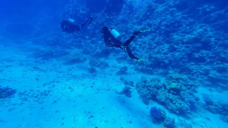 Il Mediterraneo ha un confine dove la vita crolla in pochi metri
