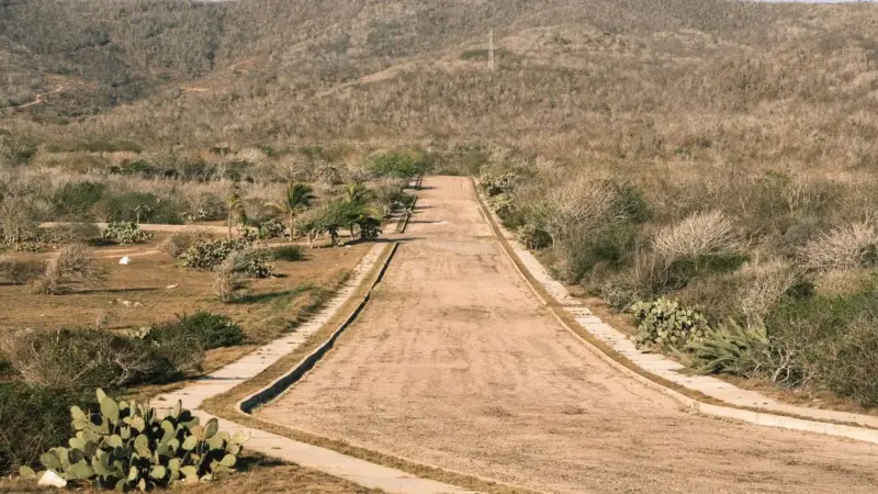 Il pangolino sta sparendo dal Pakistan