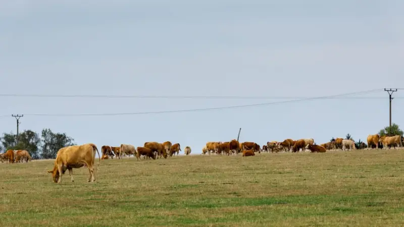 JBS ha ritirato la promessa sul clima