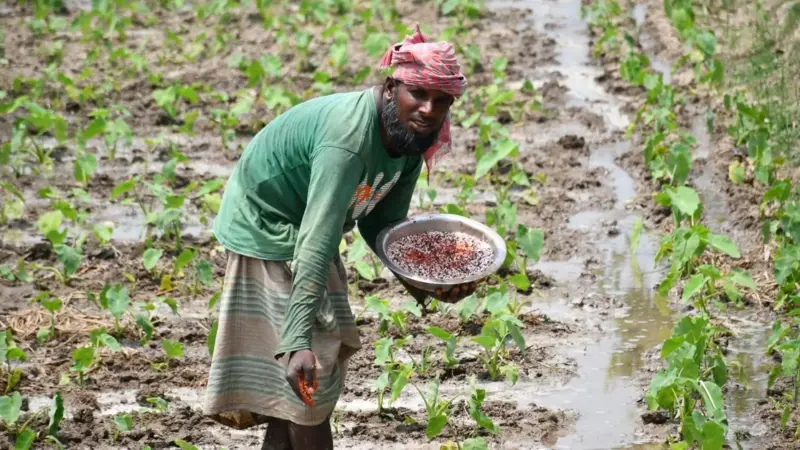 La FAO celebra i saperi indigeni ma i programmi non li usano