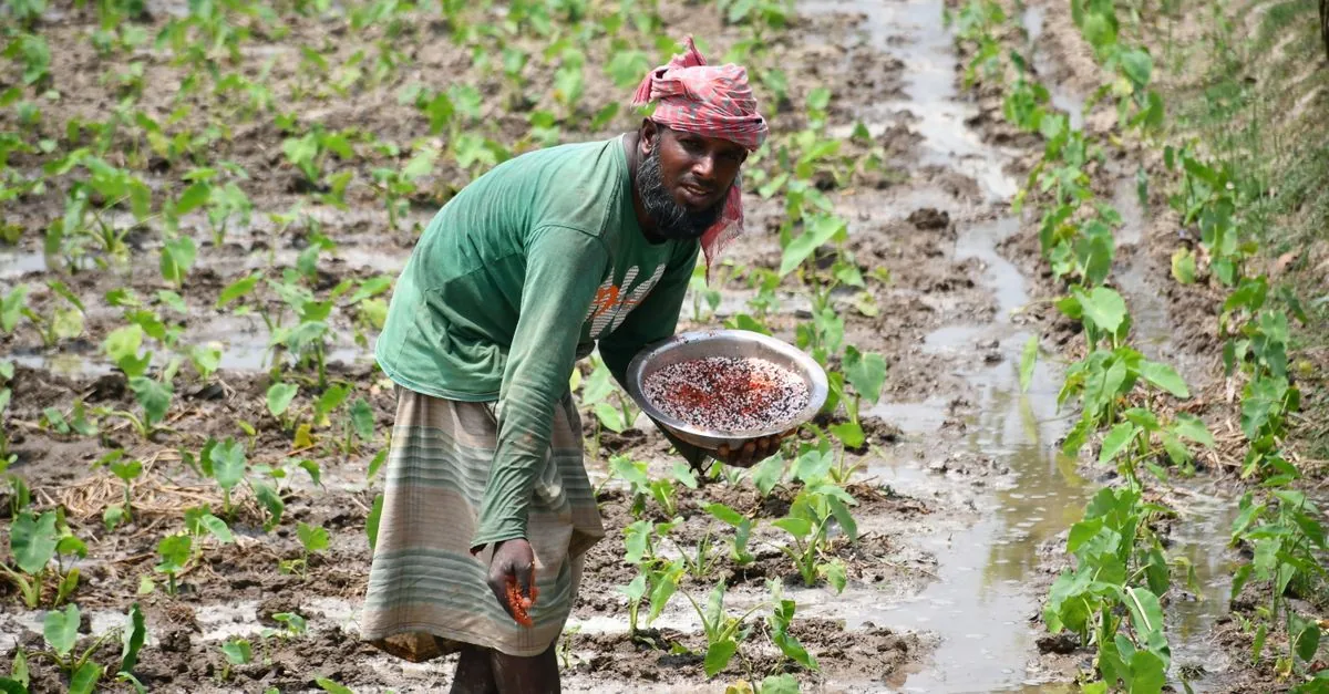 La FAO celebra i saperi indigeni ma i programmi non li usano