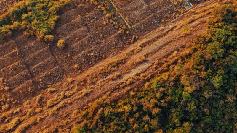 La mappa che dice se il tuo prato è un habitat protetto