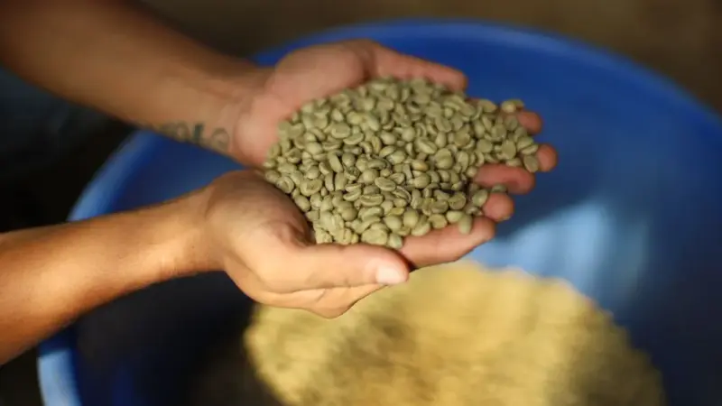 La politica commerciale ha iniziato a guardare al caffè che beviamo