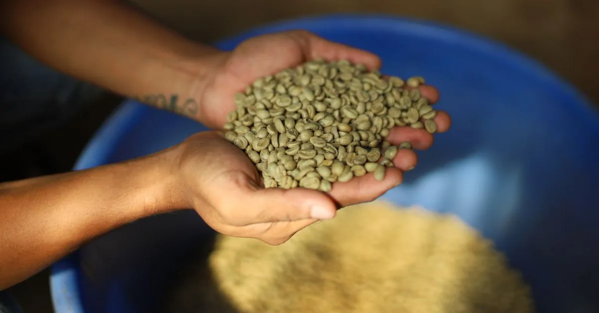 La politica commerciale ha iniziato a guardare al caffè che beviamo