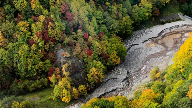 La promessa Nature Positive è già fallita