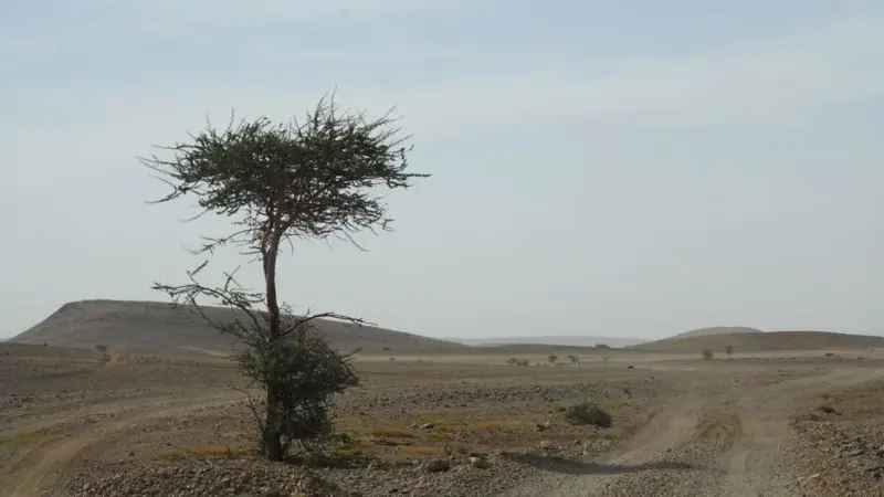 La protezione legale degli habitat è stata cancellata