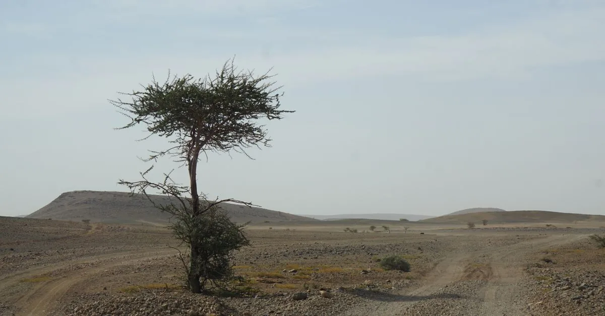La protezione legale degli habitat è stata cancellata