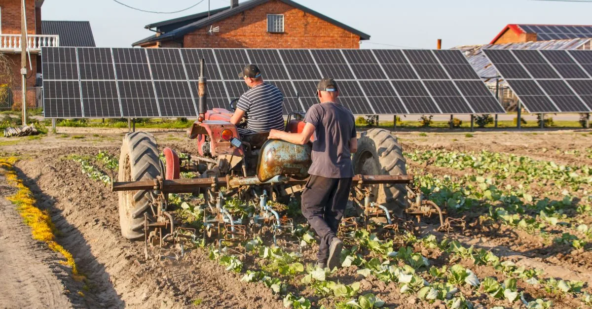 L'agrivoltaico americano è rimasto senza aiuti federali