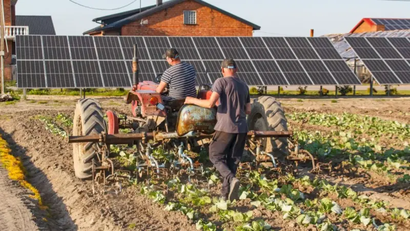 L'agrivoltaico domina la corsa alle rinnovabili in Sicilia
