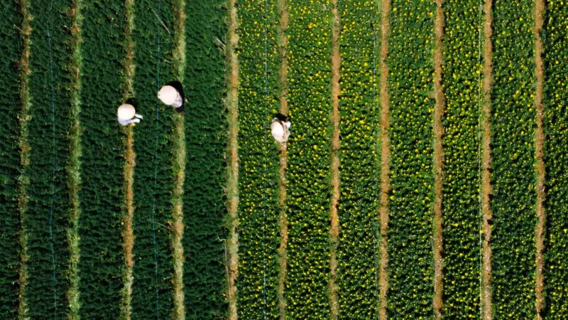 L'agroecologia in Kenya non è più un lusso da ricchi