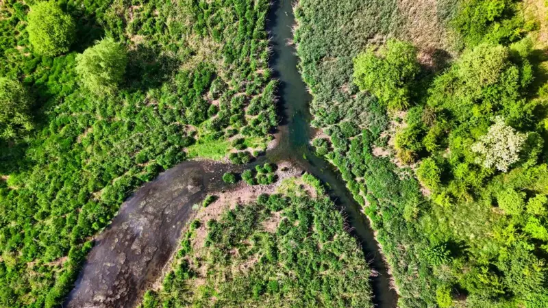 Le agenzie di rating ignorano la natura