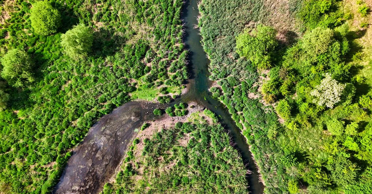 Le agenzie di rating ignorano la natura