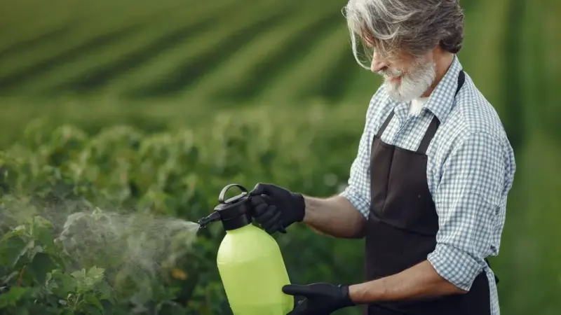 L’Europa ha scelto di non spendere 15 milioni per i pesticidi