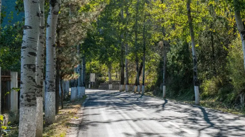 Roma ha misurato 60 gradi sull'asfalto