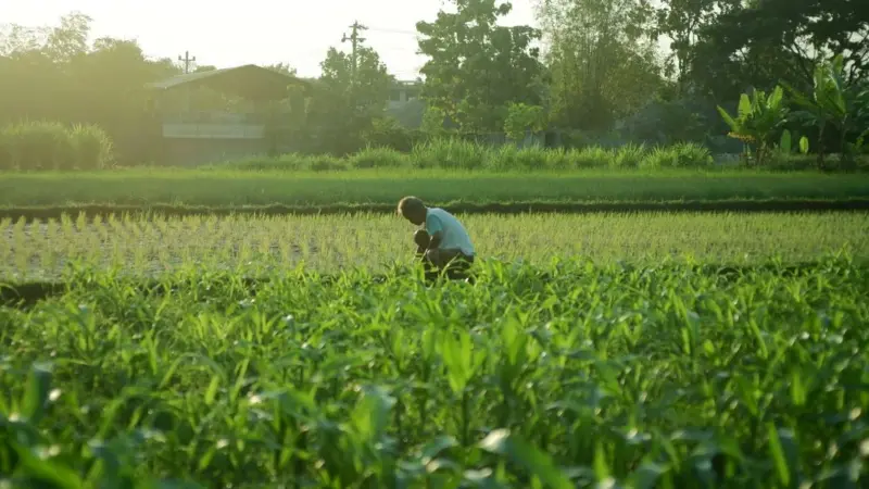 Due del Michigan sono andati a lavorare nei campi africani