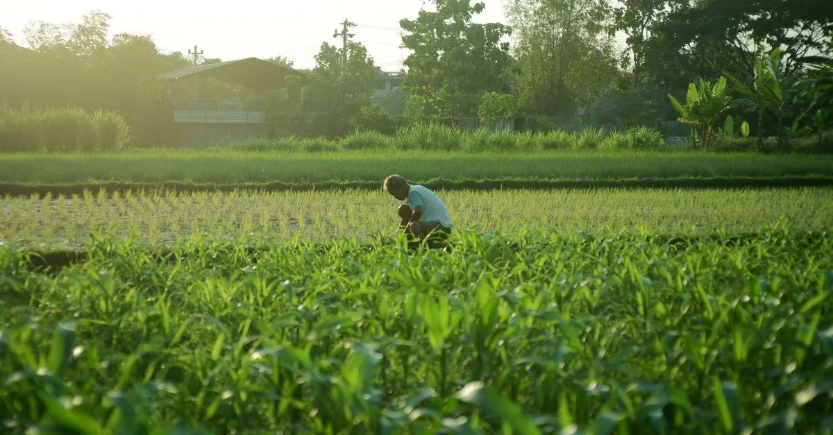 Due del Michigan sono andati a lavorare nei campi africani