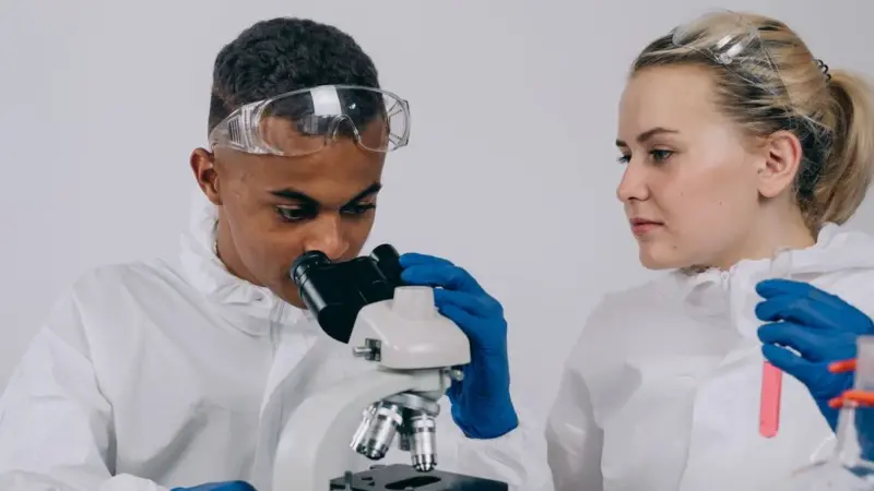 Due laboratori non concordano sulla morte di 15 elefanti