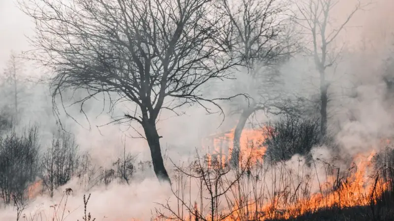 Gli incendi in Europa hanno già bruciato il doppio del solito