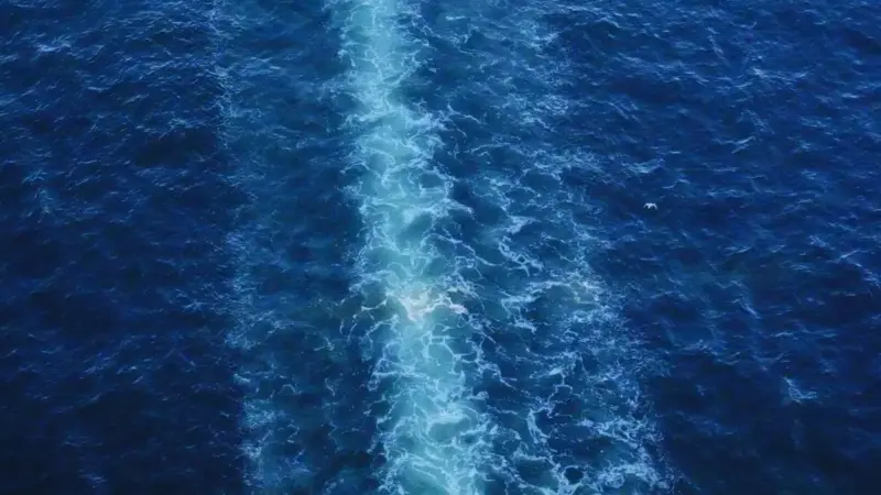 Gli oceani stanno perdendo ossigeno e nessuno lo stava controllando