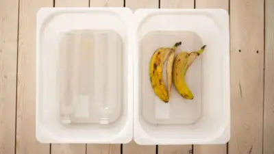 Gli scarti alimentari non diventano bioplastica