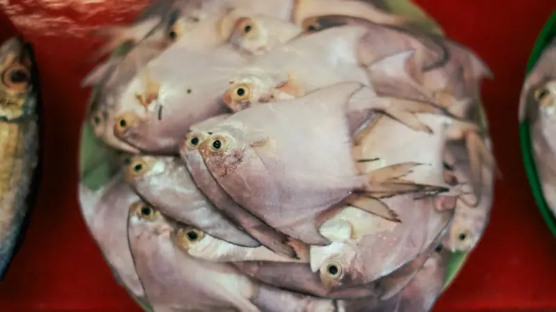 I blue food eviterebbero 166 milioni di carenze