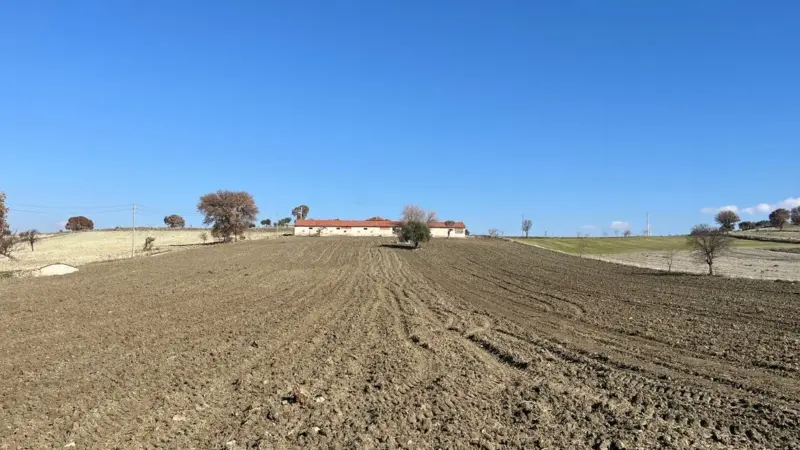 I piccoli agricoltori californiani temono di chiudere per colpa della legge