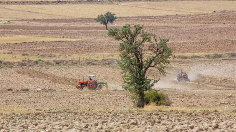 I sussidi che danneggiano la natura costano sette volte più del dichiarato