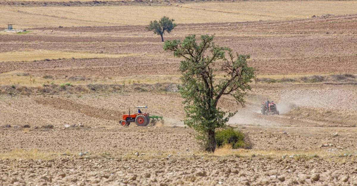 I sussidi che danneggiano la natura costano sette volte più del dichiarato