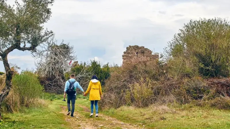 Il bando per l'uliveto di Villa Adriana è scaduto