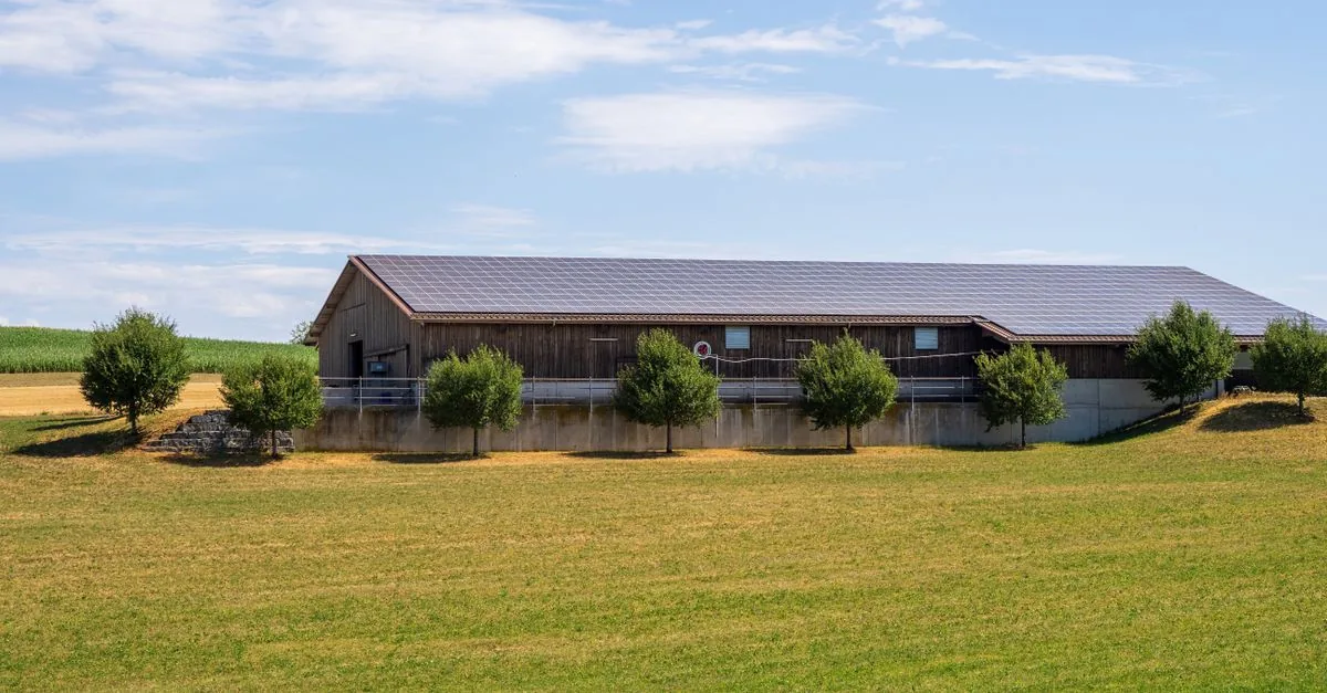 Il fotovoltaico a terra in agricoltura è finito in una corsia unica