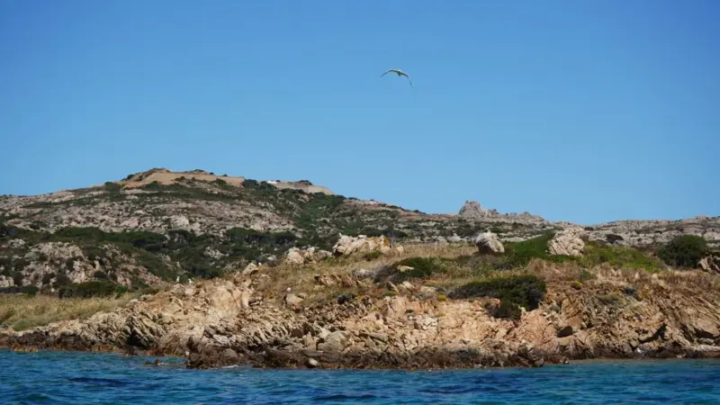 Il ministro ha nominato il direttivo del Parco dell'Arcipelago Toscano