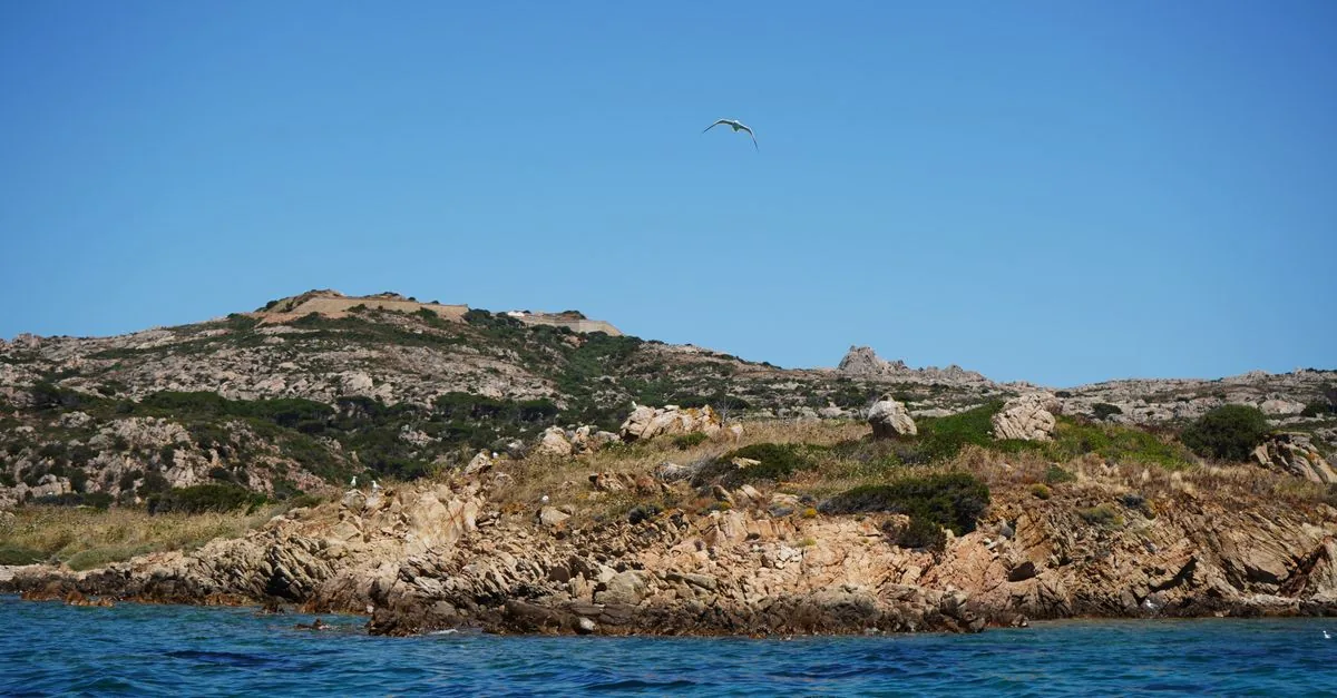 Il ministro ha nominato il direttivo del Parco dell'Arcipelago Toscano