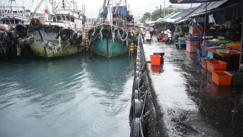 Il pesce certificato non basta a salvare gli oceani