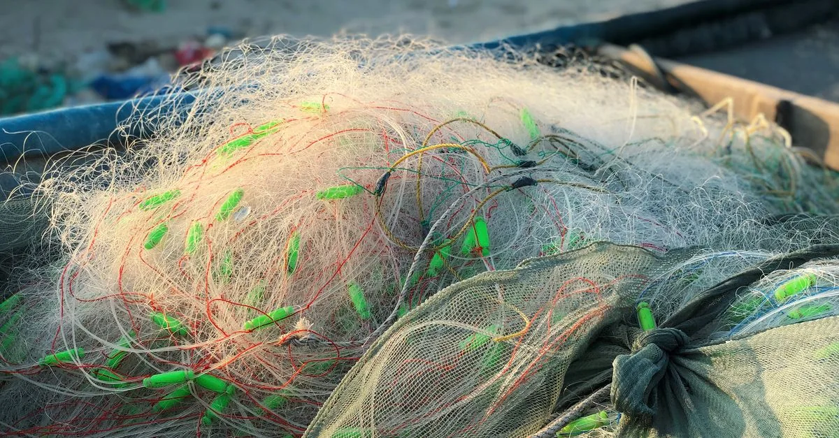 Il pesce più mangiato in Amazonas ha ingerito microplastiche