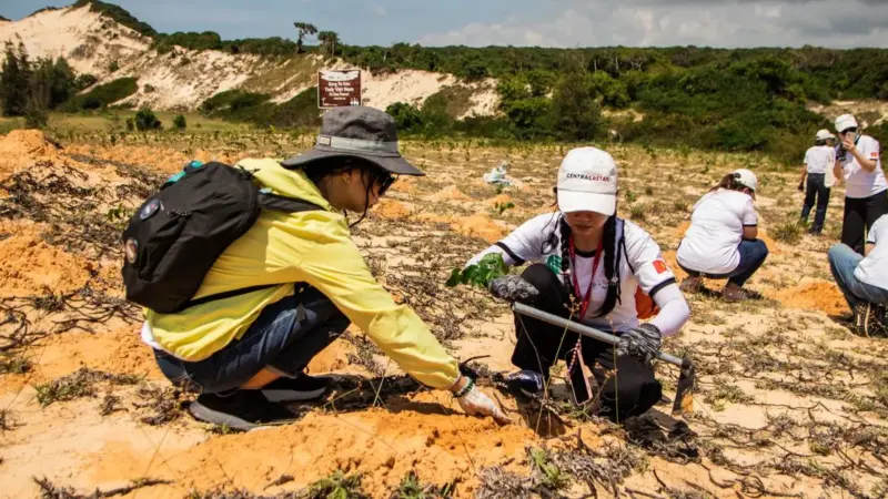 Il Regno Unito spende 97 miliardi in meno per la natura