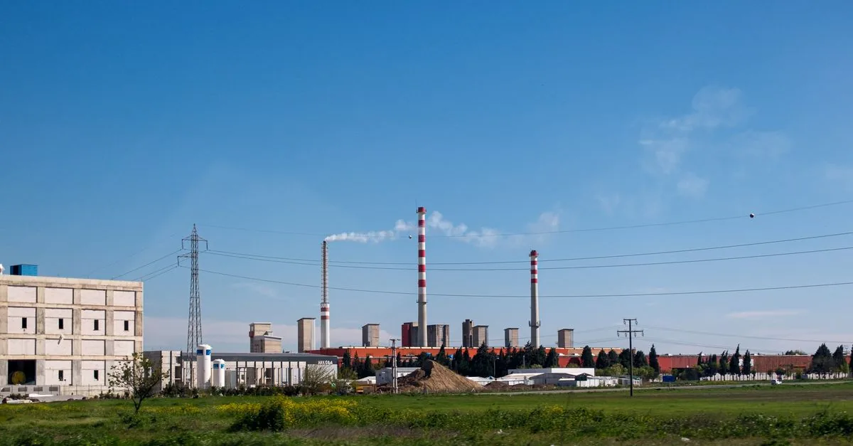 La bioenergia non è così pulita come sembra