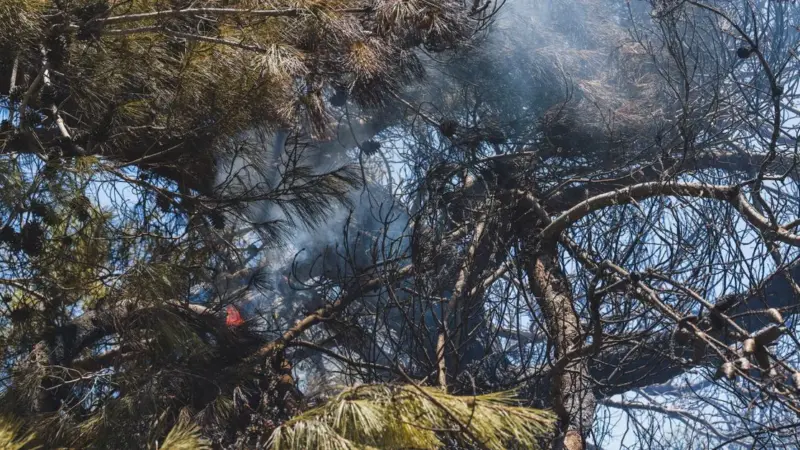 La Russia gonfia il secondo posto dell'UE negli incendi