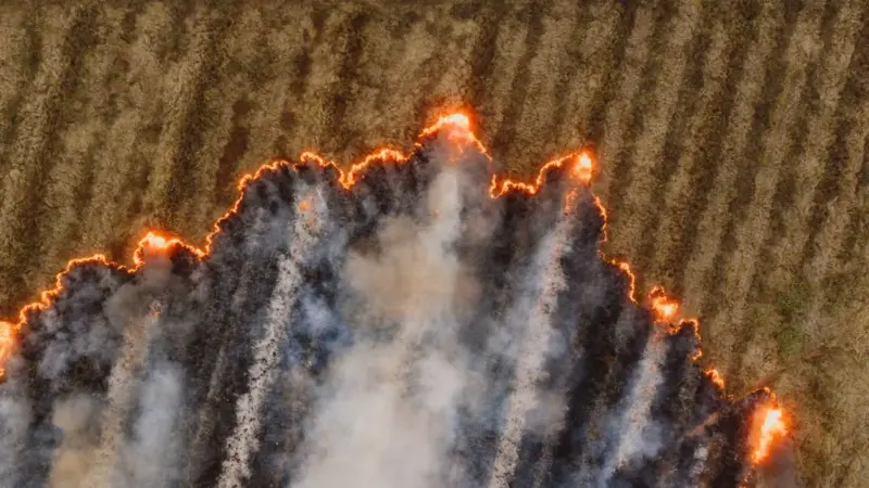 La Sicilia brucia e l'esercito non basta